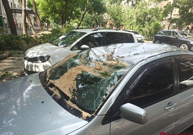 Подул ветерок: в центре Одессы массивная ветка раздавила два авто. Фото: odessa.online