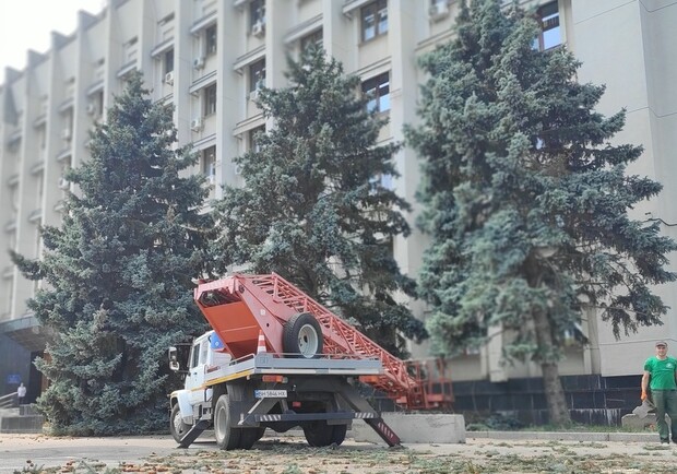 Могут рухнуть в любой момент: возле Одесской ОГА сносят голубые ели. Фото: "УСИ"