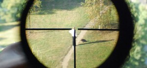 Будьте осторожны: на левом берегу Днепра неизвестные отстреливают собак