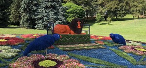 Приходи посмотреть: на Спивочем поле открылась выставка 