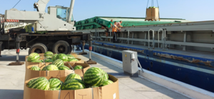 Налетай: в Киев прибыла баржа с херсонскими арбузами