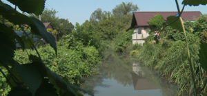 Живность погибает, а люди не могут дышать: с рекой Гнилокиш возникла новая проблема