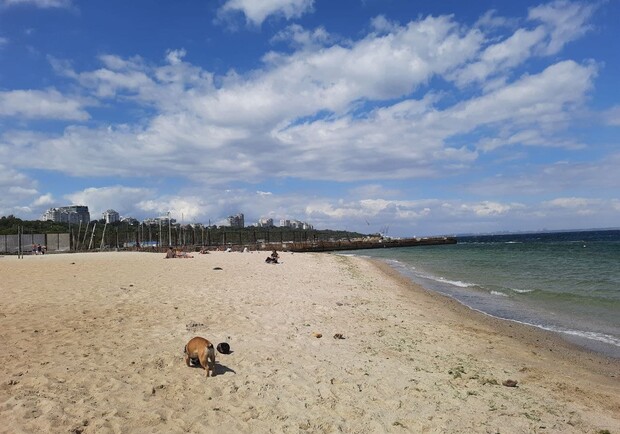 В Одессе опустели пляжи: фотофакт - фото