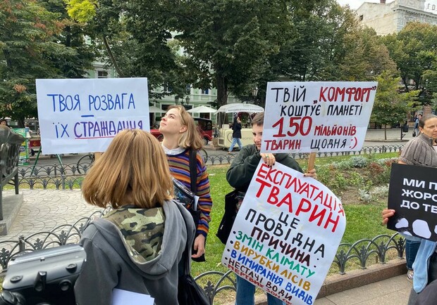 Собрались сотни людей: смотри, как в Одессе проходит Марш в защиту животных. Фото: "8 канал"