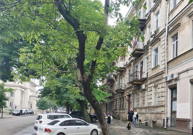 "Съела" и дорогу, и тротуар: в Приморском районе сделали новую парковку