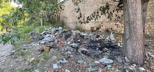 Около 400 тонн мусора: на Отрадном проведут масштабную уборку