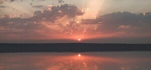 Исчезающая красота: смотри, как выглядит Куяльник в сентябре