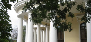 Не пускайте детей: с Воронцовского дворца падают каменные куски