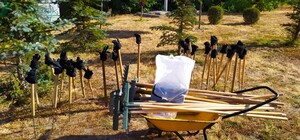 Присоединяйся: где в Киеве пройдут осенние субботники