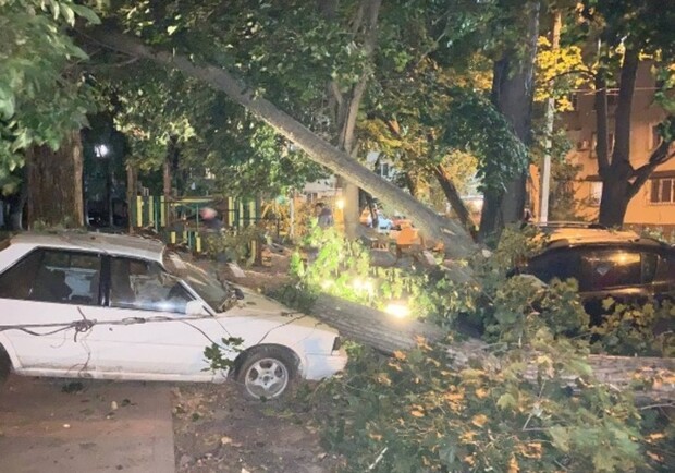 На парковке в Одессе рухнуло дерево: пострадали восемь автомобилей. Фото: телеграм-канал ХО