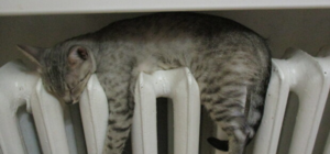 Получи ответ: когда в Киеве начнут включать отопление