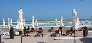 Владельцы кафе в Лузановке захватили территорию и нападают на журналистов: с ними будут судиться