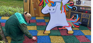 Не надо так: запорожцы портят фигурки из цветов в Вознесеновском парке