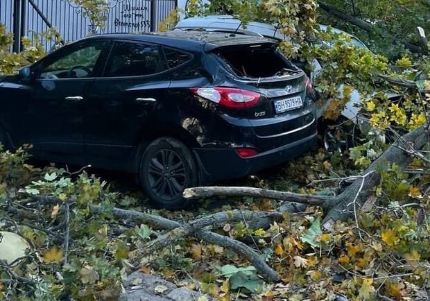 Падают деревья: в Одессе объявили штормовое предупреждение. Фото очевидцев