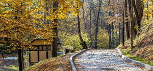 Поїхали: на Львівщині відкрили новий веломаршрут заповідними територіями