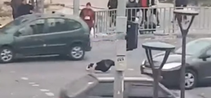 Ума палата: в Днепре парень отжимался посреди дороги (видео)