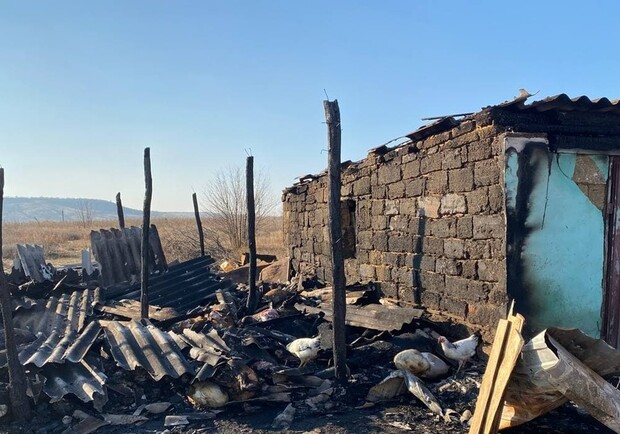 На ферме под Одессой, где сгорели овцы, рассказали подробности пожара. 