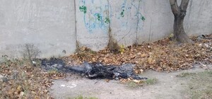 Под Одессой мужчина жил с трупом две недели, а после решил его сжечь 