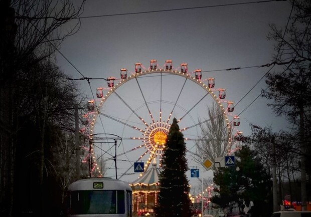 В Одессе установили первую новогоднюю елку. 