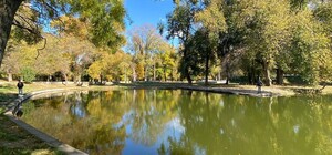 В Одессе реконструируют Дюковский парк