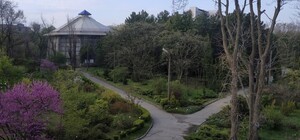 В Днепре на время сделают бесплатный вход в ботсад