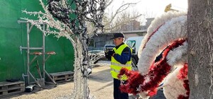 Новый год 2022: где и когда в Одессе установят елки и инсталляции