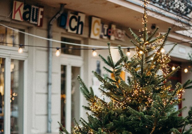 Где и за сколько в Одессе можно приобрести новогоднюю елку. 