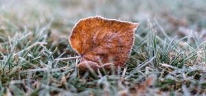 Афиша Харькова: какие мероприятия пройдут на этой неделе (13-19 декабря)