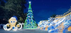 Открытие елки на Думской площади: стала известна программа мероприятий