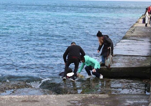 В Одессе вытянули на берег тонущую женщину. 