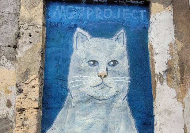 В Одессе появилось новое "кошачье" граффити: фотоотчет. 
