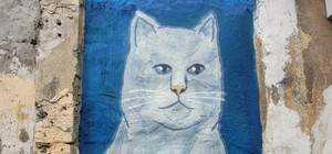 В Одессе появилось новое 