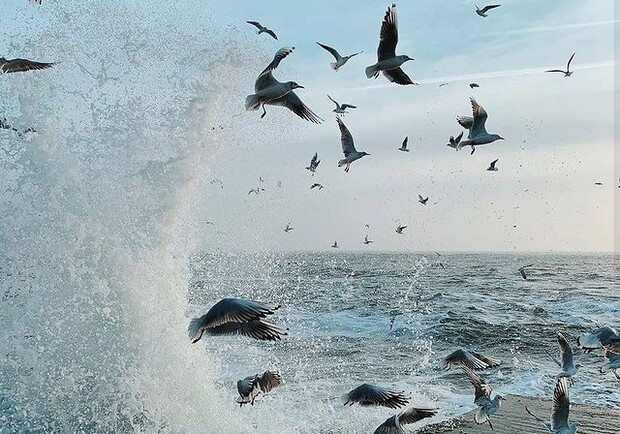 Штормовое предупреждение: прогноз погоды в Одессе и области на 12 января. 