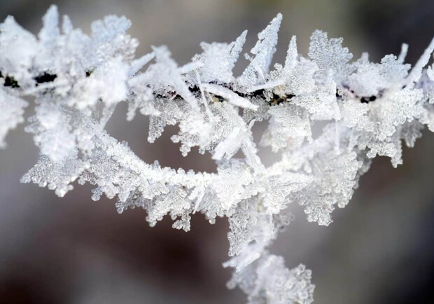Морозное утро: прогноз погоды в Одессе и области на 13 января. 
