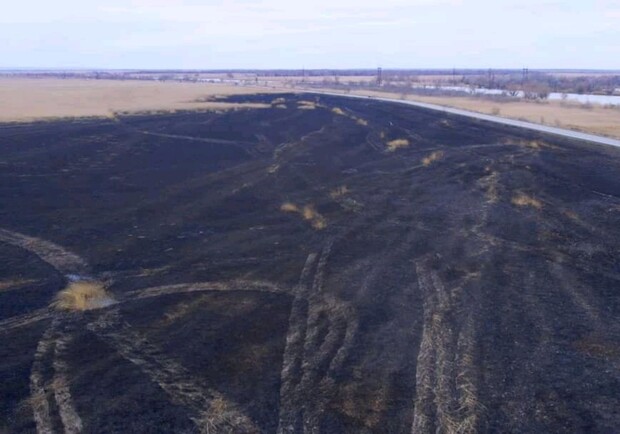 Пожар в природном парке под Одессой нанес убытки на сотни тысяч гривен. 