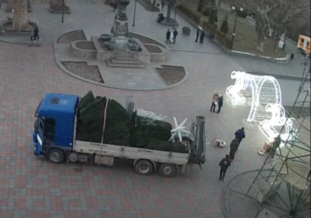 В Одессе убрали главную новогоднюю елку города. 