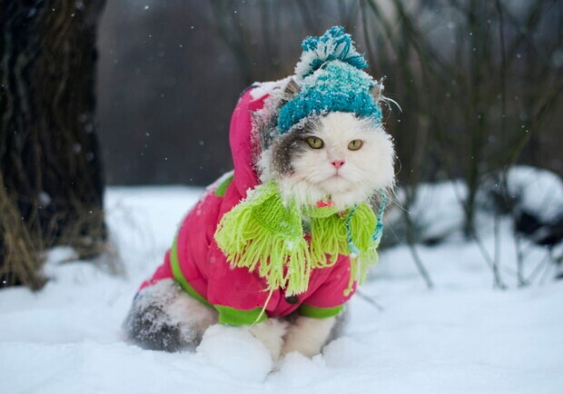Снова мороз: какая погода будет в Одессе на следующей неделе. 
