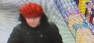 Кошка осталась в переноске посреди улицы: в Днепре бабушку убили из-за 2-х гривен