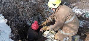 На Полтавщине женщина упала в канализационный люк, спасая домашнего кота