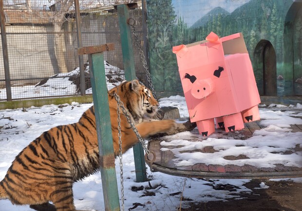 В Одесском зоопарке отметили китайский Новый год.