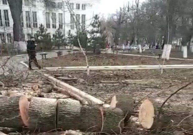 В Одесском сквере уничтожают деревья. 