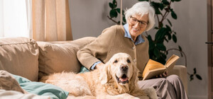 У Києві пенсіонери можуть безкоштовно стерилізувати своїх тварин: де і коли