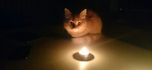 Завтра одесситам снова отключат свет (адреса)