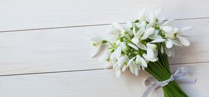 Букетик підсніжників за 510 гривень: на львівські вулиці вийшли екопатрулі