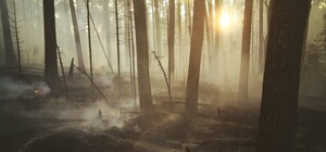 В Чернобыльской зоне отчуждения горят более 10 тысяч гектаров лесов