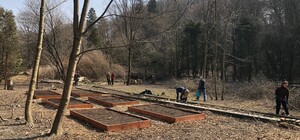 Переселенців і львів'ян запрошують на толоку у парк 