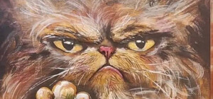 В Бородянке предлагают сделать мурал с известной кошкой