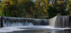 Экологи назвали 10 мест в Киеве, которым нужно присвоить статус заповедника