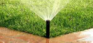 Зеленский предложил американскому филантропу реанимировать систему ирригации в Одесской области