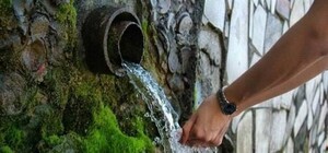 Обнаружены микробы: на Алексеевке опасно пить воду из источника